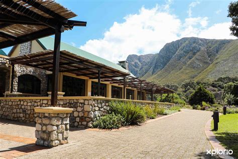 The Harold Porter National Botanical Garden: A Breathtaking Tapestry of Fynbos and Coastal Beauty!