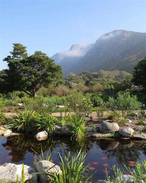 The Harold Porter National Botanical Garden: A Breathtaking Tapestry of Fynbos and Coastal Beauty!