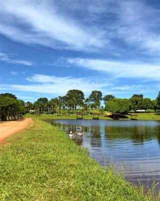  A Montanha da Felicidade: Contemple a Natureza exuberante e Desfrute de Caminhadas Incriveis!