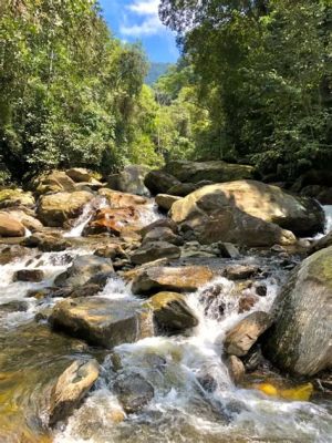 Parque Estadual da Serra do Mar: Uma Jornada Inesquecível Através da Natureza Tupiniquim!